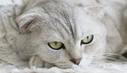 开云体育app网页版安全-Kaiyun：开启云端新生活的第一步