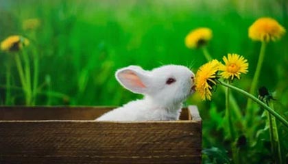 开云体育app网页版安全-Kaiyun:开启云端新生活的第一步